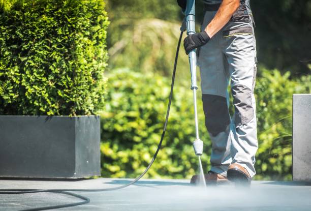 Best Paint Preparation  in Ara, AL