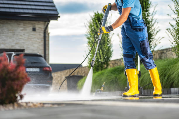 Best Sidewalk and Walkway Cleaning  in Ara, AL